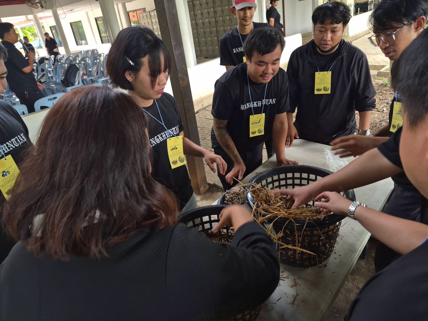 Activity Image