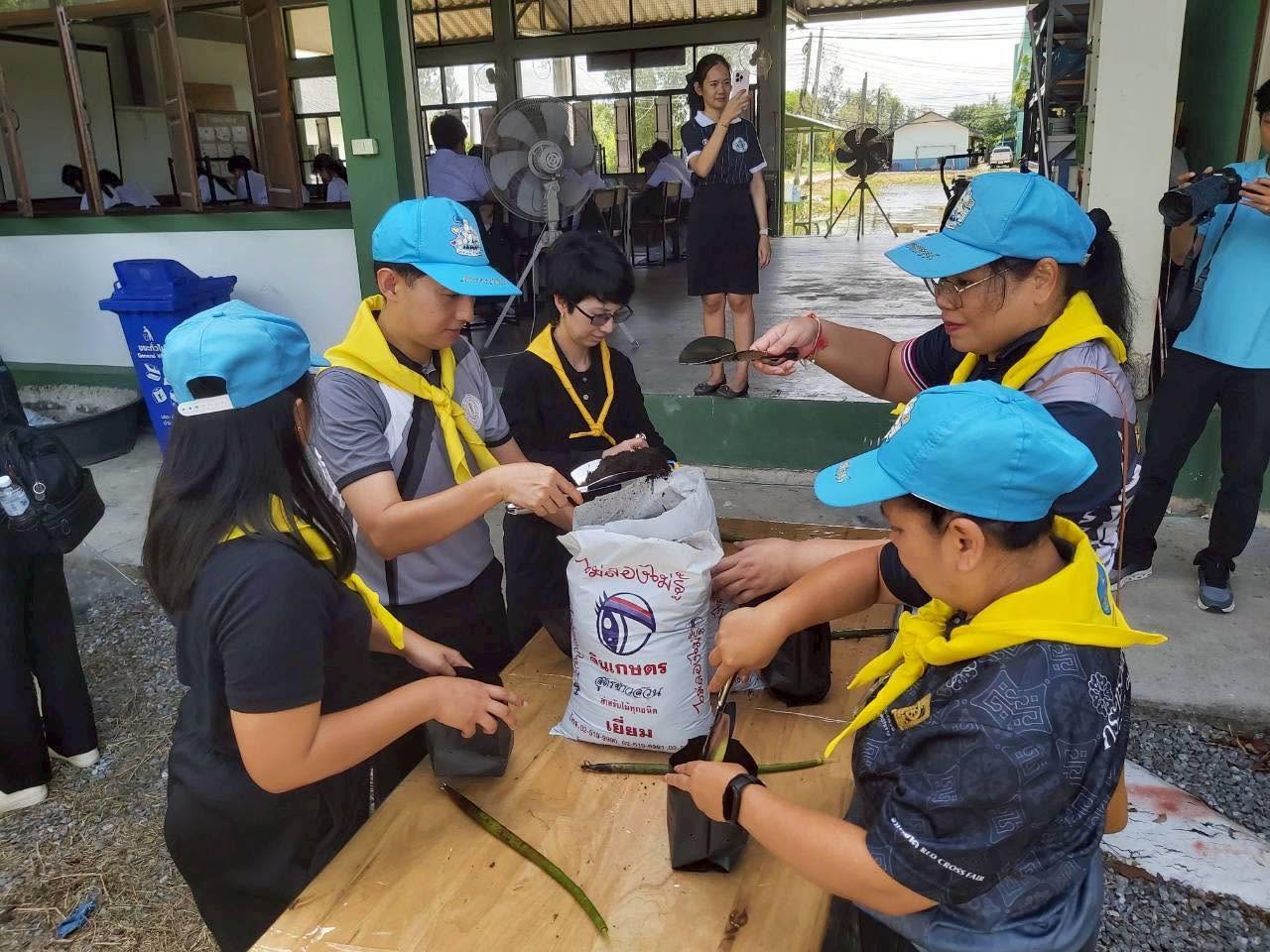 Activity Image