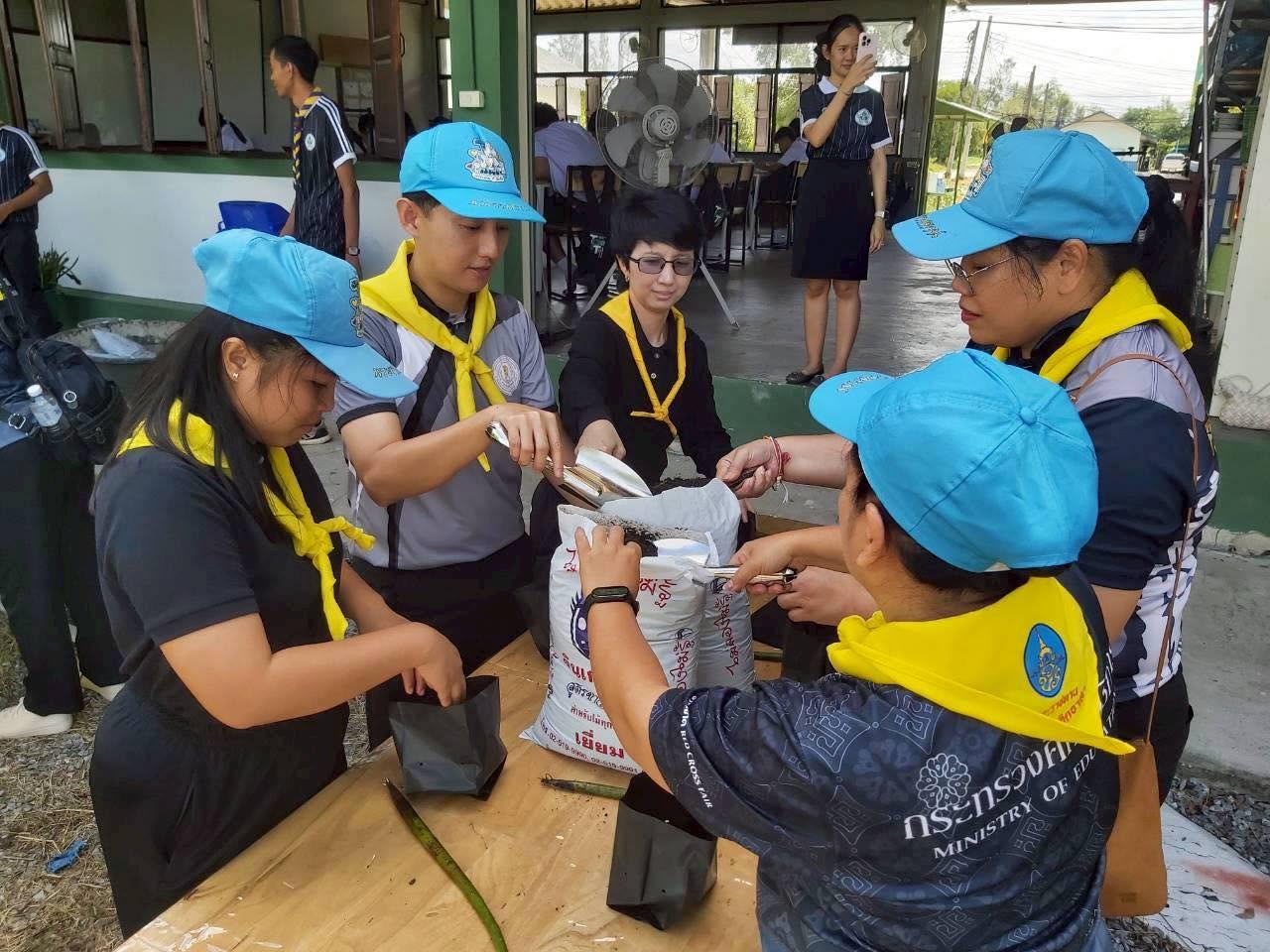 Activity Image